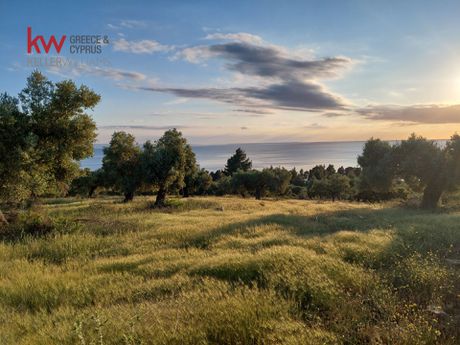 Οικόπεδο 17.290τ.μ. για πώληση-Σιθωνία