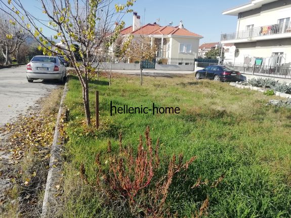 Οικόπεδο 250 τ.μ. για πώληση, Ν. Τρικάλων, Τρίκαλα