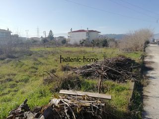 Οικόπεδο 250 τ.μ. για πώληση, Ν. Τρικάλων, Τρίκαλα-thumb-2