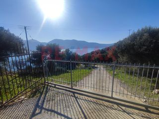 Βίλλα 185 τ.μ. για πώληση, Εύβοια, Δύστος-thumb-18