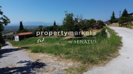 Land plot 1.424sqm for sale-Chrisoupoli » Zarkadia