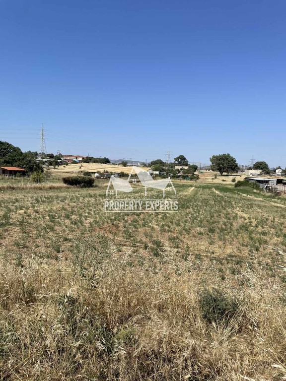 Οικόπεδο 6.000 τ.μ. πρός πώληση, Εβρος, Αλεξανδρούπολη
