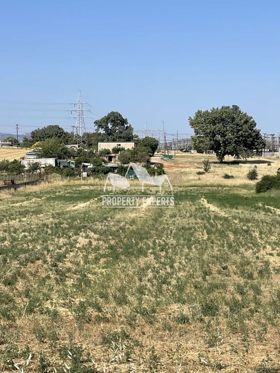 Οικόπεδο 6.000 τ.μ. πρός πώληση, Εβρος, Αλεξανδρούπολη