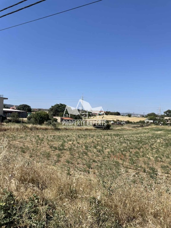 Οικόπεδο 6.000 τ.μ. πρός πώληση, Εβρος, Αλεξανδρούπολη