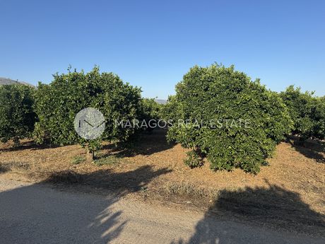 Parcel 13.000sqm for sale-Argos » Inachos