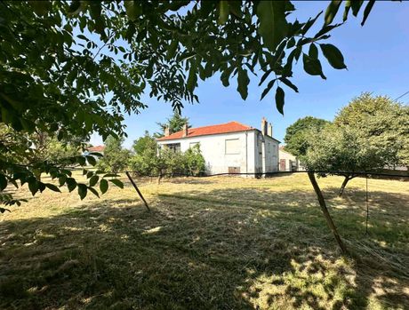 Land plot 2.000 sqm for sale