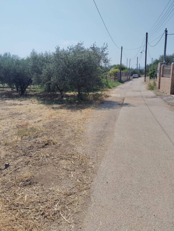Οικόπεδο 1.239 τ.μ. πρός πώληση, Κορινθία, Σικυώνα