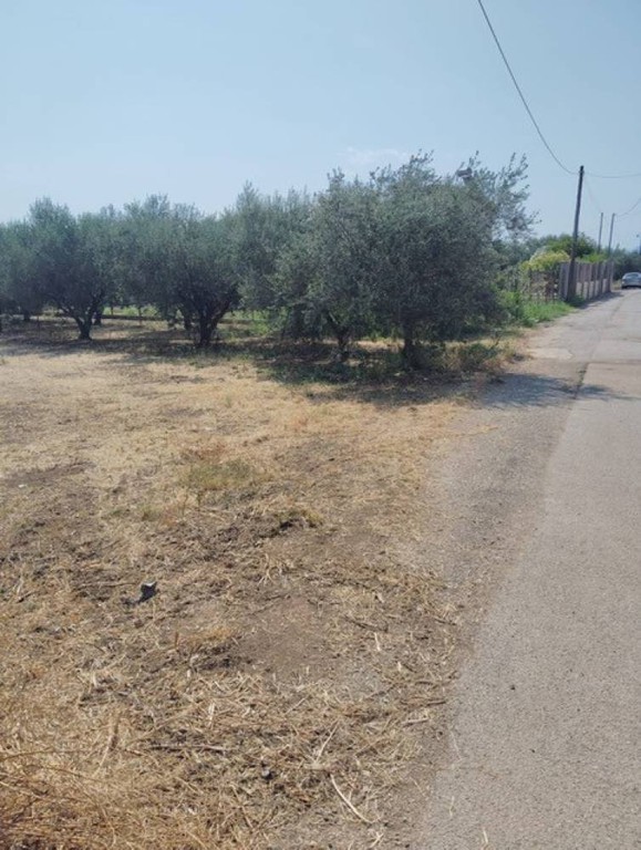 Οικόπεδο 1.239 τ.μ. πρός πώληση, Κορινθία, Σικυώνα