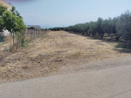 Οικόπεδο 1.239τ.μ. για πώληση-Σικυώνα » Πάσιο