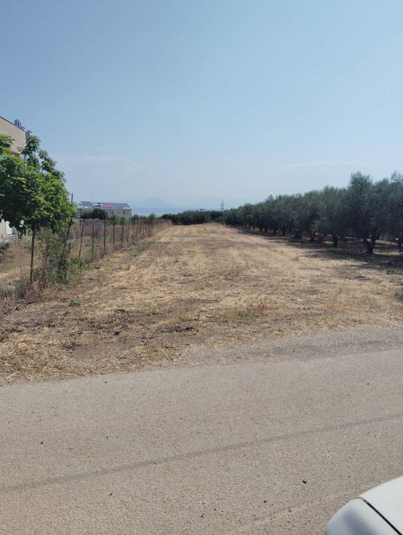 Οικόπεδο 1.239 τ.μ. πρός πώληση, Κορινθία, Σικυώνα