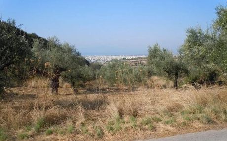 Αγροτεμάχια 14.000τ.μ. για πώληση-Καλαμάτα » Φαρές