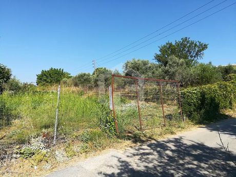 Οικόπεδο 780τ.μ. για πώληση-Κ. καπανδριτίου » Καπανδρίτι