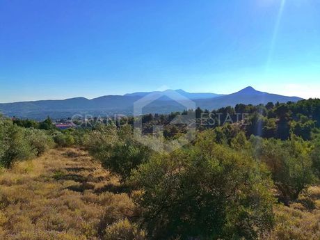 Οικόπεδο 4.408τ.μ. για πώληση-Κ. καπανδριτίου » Καπανδρίτι