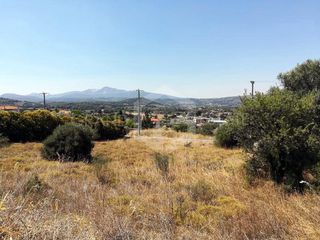 Αγροτεμάχια 1.740 τ.μ. προς πώληση