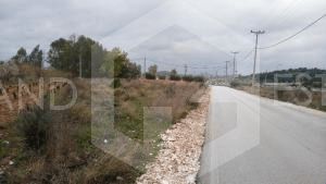 Αγροτεμάχια 3.380 τ.μ. προς πώληση