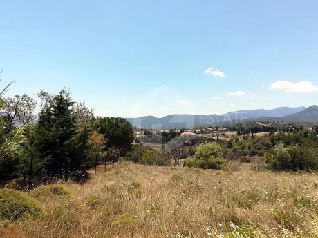 Αγροτεμάχια 5.000τ.μ. για πώληση-Κ. καπανδριτίου » Μικροχώρι