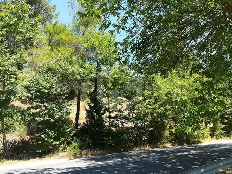 Οικόπεδο 4.500τ.μ. για πώληση-Βαρνάβας » Κέντρο
