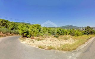 Αγροτεμάχια 23.800 τ.μ. προς πώληση