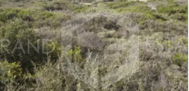 Οικόπεδο 161τ.μ. για πώληση-Γκάζι - μεταξουργείο - βοτανικός » Γκάζι