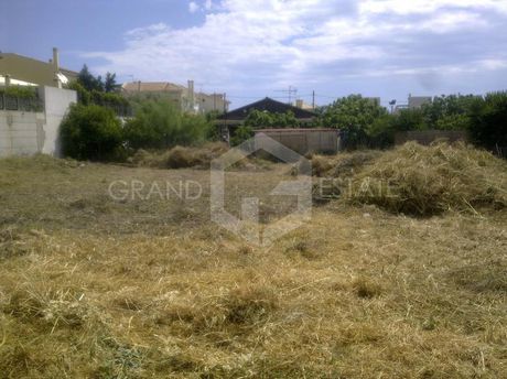 Οικόπεδο 400τ.μ. για πώληση-Βάρη- βάρκιζα » Ασύρματος αλίανθου