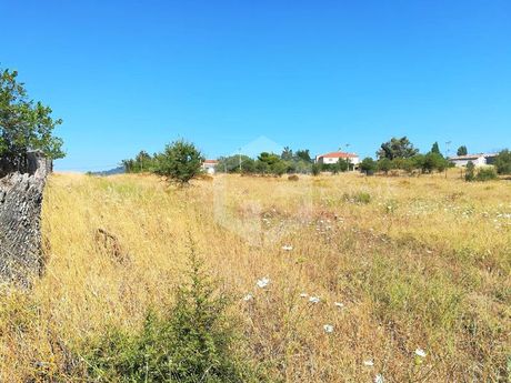 Αγροτεμάχια 9.200τ.μ. για πώληση-Κ. καπανδριτίου » Καπανδρίτι