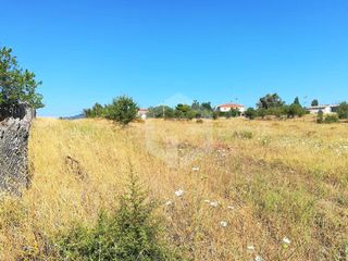 Αγροτεμάχια 9.200 τ.μ. προς πώληση