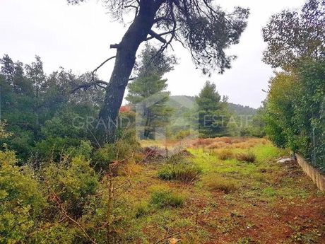 Οικόπεδο 1.015τ.μ. για πώληση-Αφίδνες » Αγία τριάδα