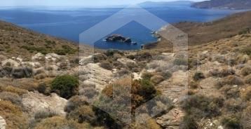 Αγροτεμάχια 418.000τ.μ. για πώληση-Άνδρος » Χώρα