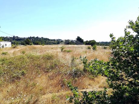 Οικόπεδο 9.613τ.μ. για πώληση-Κ. καπανδριτίου » Καπανδρίτι