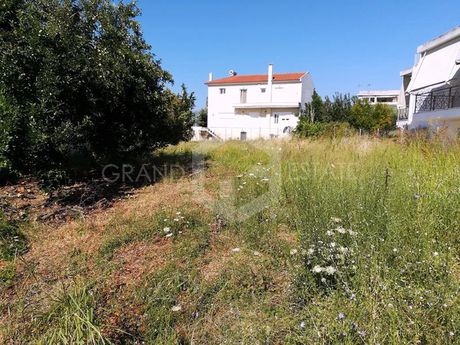 Οικόπεδο 649τ.μ. για πώληση-Κ. καπανδριτίου » Καπανδρίτι