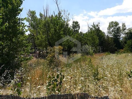 Οικόπεδο 11.500τ.μ. για πώληση-Πολυδένδρι