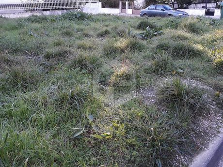 Οικόπεδο 229τ.μ. για πώληση-Αγία παρασκευή » Πευκάκια