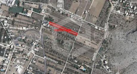 Αγροτεμάχια 2.008τ.μ. για πώληση-Βάρη- βάρκιζα » Ασύρματος αλίανθου