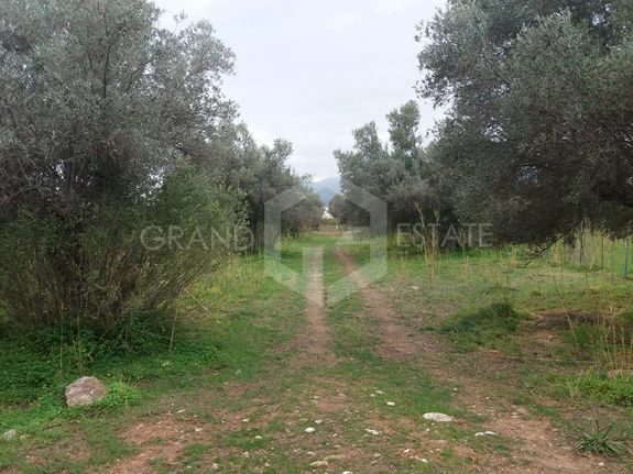 Land plot 5.500 sqm for sale, Athens - East, Marathonas