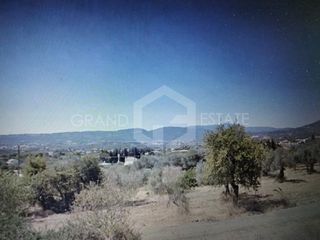 Αγροτεμάχια 1.740 τ.μ. προς πώληση