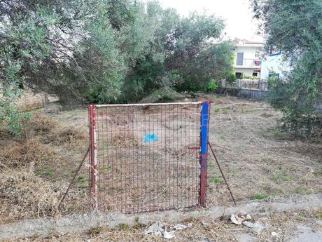 Οικόπεδο 730τ.μ. για πώληση-Πάτρα » Αμπελόκηποι
