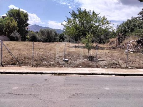 Οικόπεδο 1.800τ.μ. για πώληση-Δροσιά