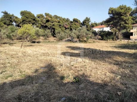Οικόπεδο 3.750τ.μ. για πώληση-Ωρωπός » Πευκόφυτο