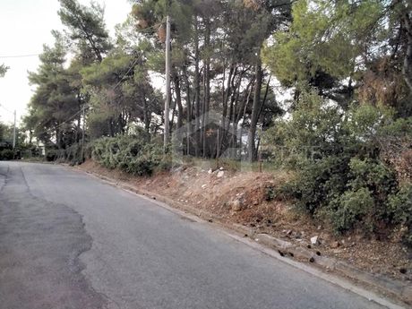 Οικόπεδο 2.856τ.μ. για πώληση-Σταμάτα » Εύξεινος πόντος