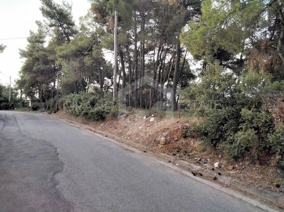 Οικόπεδο 2.856 τ.μ. για πώληση, Αθήνα - Βόρεια Προάστια, Σταμάτα