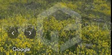 Land plot 204 sqm for sale, Larissa Prefecture, Elassona