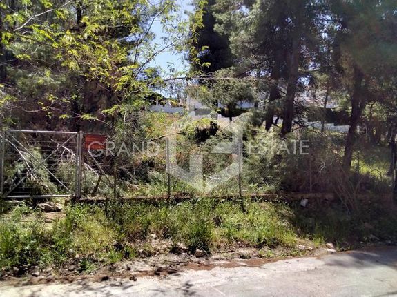 Οικόπεδο 800 τ.μ. για πώληση, Αθήνα - Βόρεια Προάστια, Σταμάτα