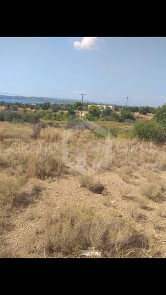 Οικόπεδο 4.000 τ.μ. για πώληση, Αργολίδα, Κρανίδι