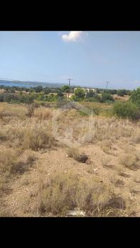 Οικόπεδο 4.000τ.μ. για πώληση-Κρανίδι » Κάμπος