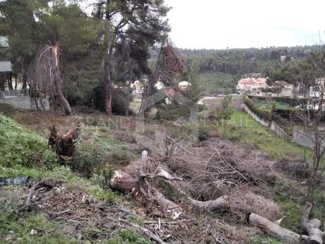 Οικόπεδο 1.000τ.μ. για πώληση-Άγιος στέφανος » Καπιτένια