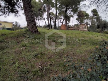 Οικόπεδο 490τ.μ. για πώληση-Άγιος στέφανος » Καπιτένια
