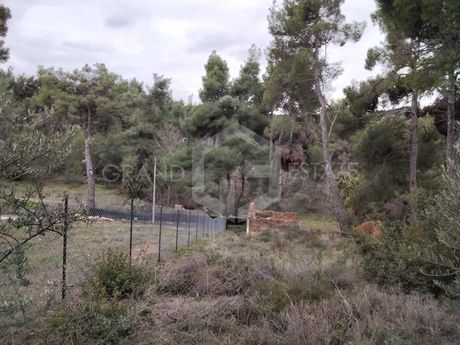 Οικόπεδο 950τ.μ. για πώληση-Άγιος στέφανος » Καπιτένια