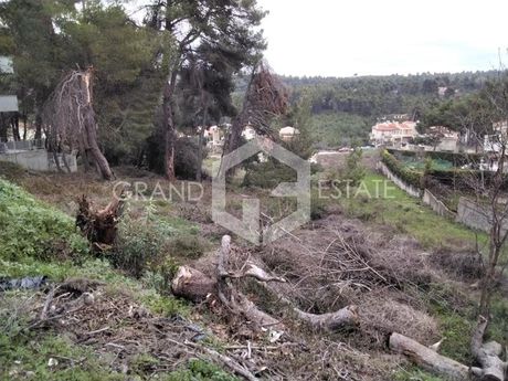 Οικόπεδο 400τ.μ. για πώληση-Άγιος στέφανος » Καπιτένια