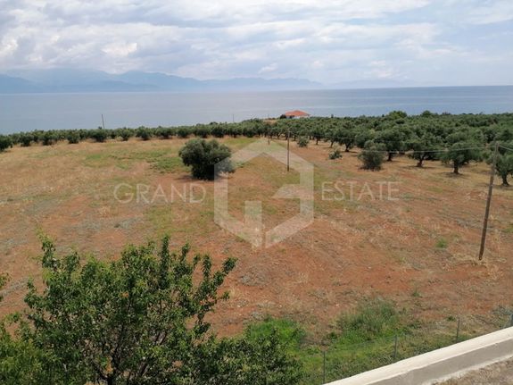 Οικόπεδο 30.000 τ.μ. για πώληση, Μεσσηνία, Πεταλίδι