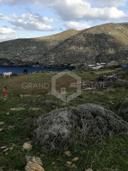 Αγροτεμάχια 35.000 τ.μ. προς πώληση, Χώρα Άνδρου